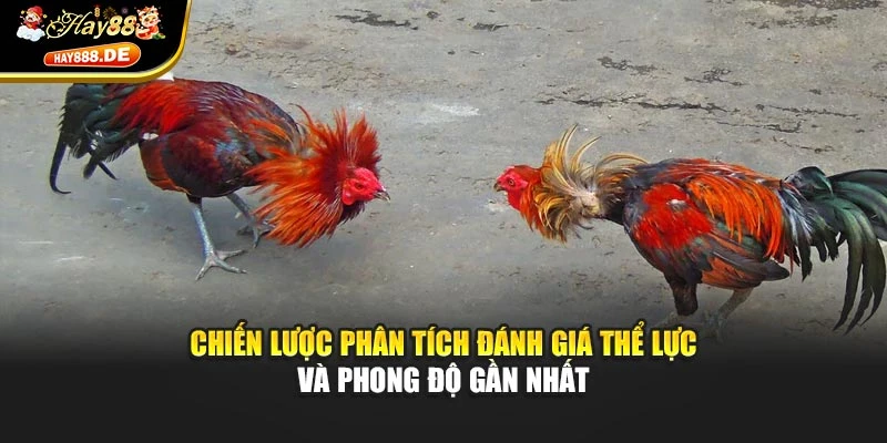 Chiến lược phân tích đánh giá thể lực và phong độ gần nhất